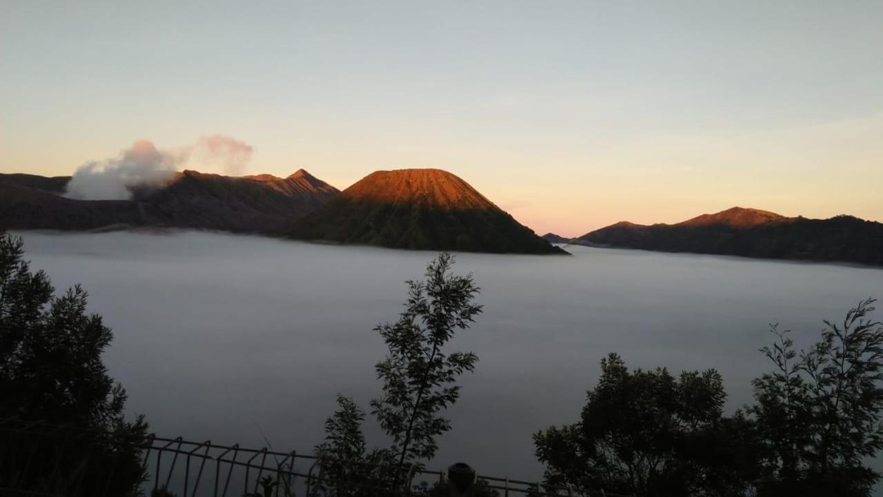 Cemara Indah Hotel Bromo Exterior foto