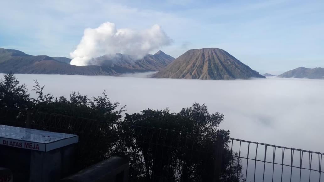 Cemara Indah Hotel Bromo Exterior foto