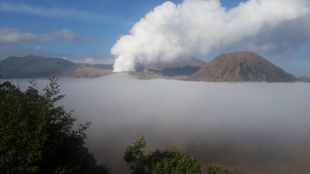 Cemara Indah Hotel Bromo Exterior foto